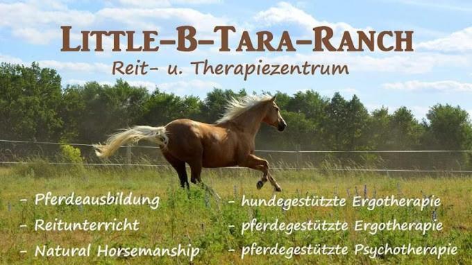 Martinsgarten Angermunde Luaran gambar